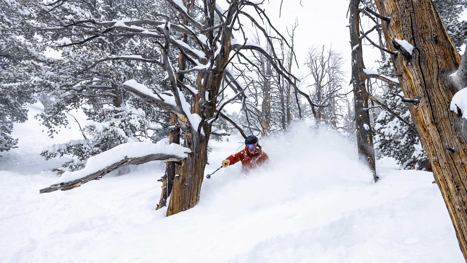 Unleash Your Inner Athlete